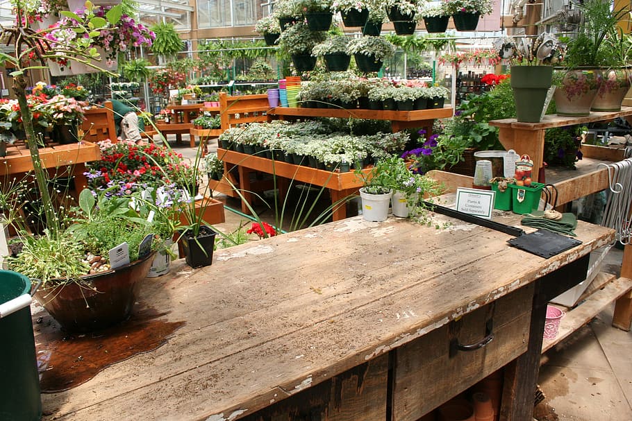 Garden Center, Floral, Plant, garden, pot, gardening, flowers, grow, horticulture, retail