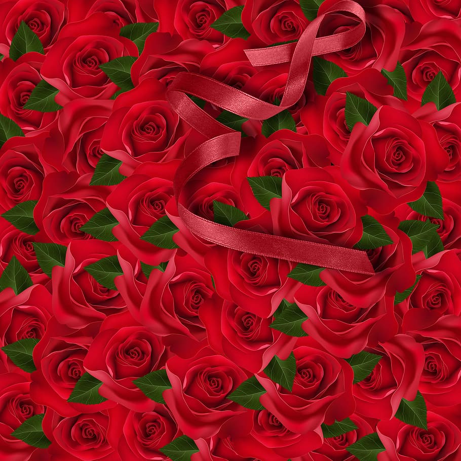 vermelho, fita, rosas, floral, rosa, flor, flores de fundo, fundo vermelho, textura, fundo