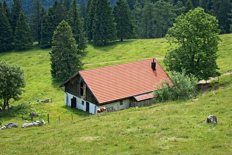 Paisaje, naturaleza, Baviera, Alta Baviera, Chiemgau, Alm, cabaña alpina, bosque, ocio, recuperación