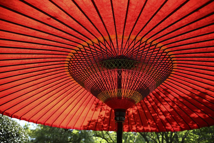 big umbrella, red, umbrella, trees, leaves, forest, stripes, lines, japan, cultures