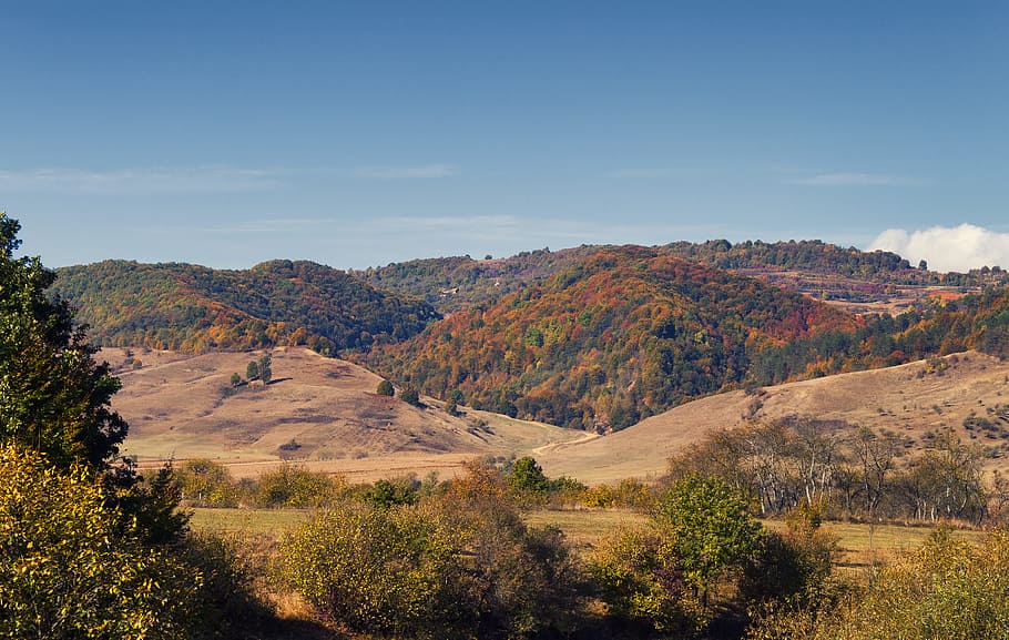 colinas durante o dia, colinas, durante o dia, outono, paisagem, natureza, floresta, ao ar livre, parque, cênico