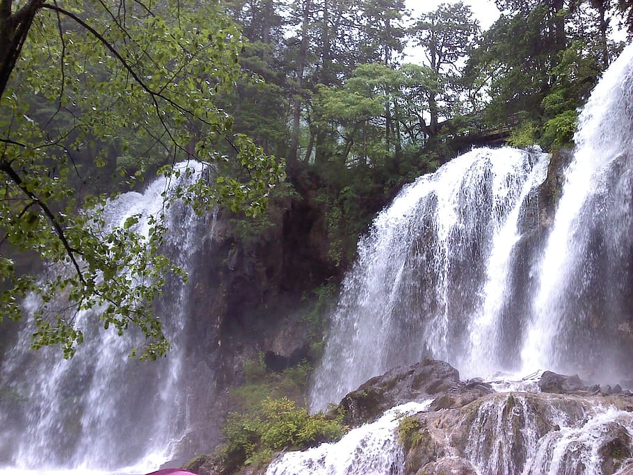 jiuzhaigou, falls, trees, tree, beauty in nature, scenics - nature, waterfall, plant, water, forest