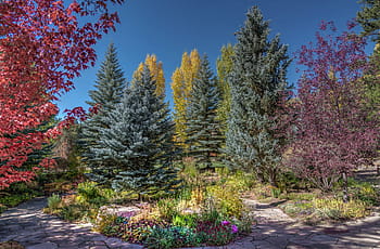 Royalty Free Betty Ford Gardens Photos Free Download Pxfuel