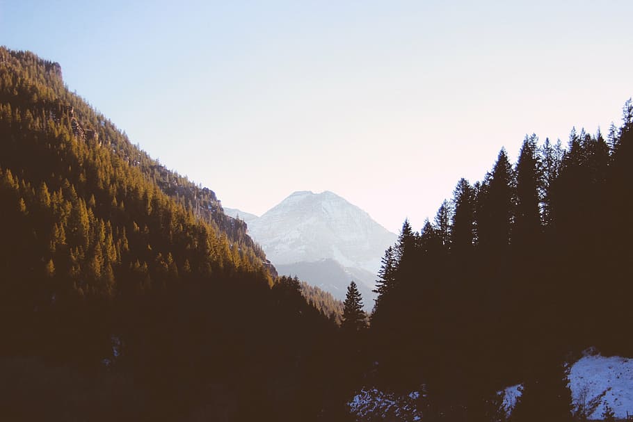 silueta, pinos, verde, bosque, cerca, montaña, azul, cielo, durante el día, valle