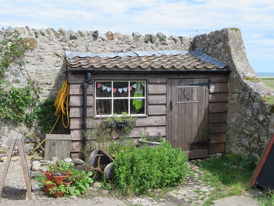shed, hut, garden, holy island, outdoor, construction, wooden, architecture, built structure, building exterior