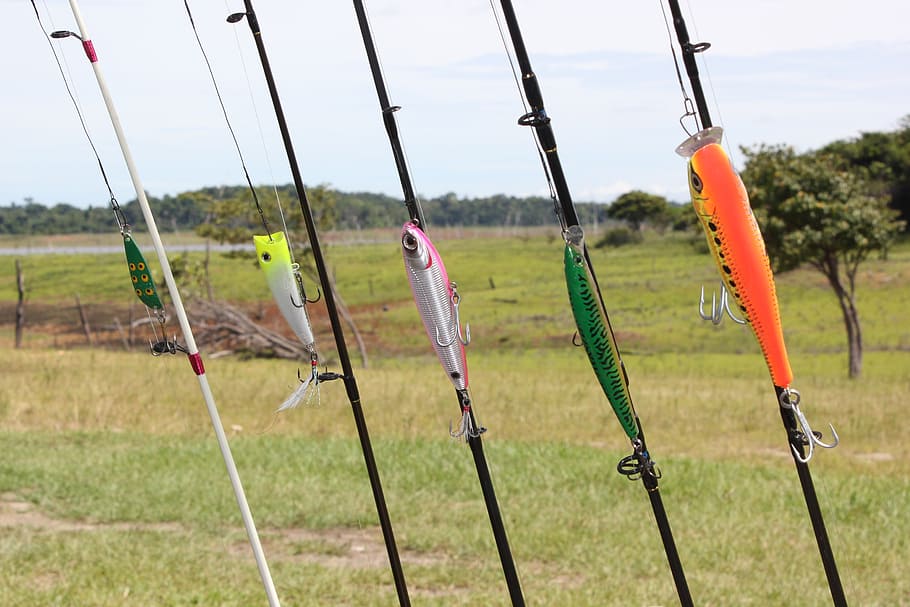 varas de pesca de cores sortidas, pesca, vara de pesca, esporte, rio, água, isca, campo, foco em primeiro plano, natureza