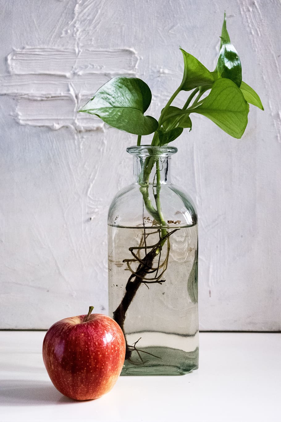 still, life photography, red, apple, green, leaf plant, placed, clear, glass vase, composition