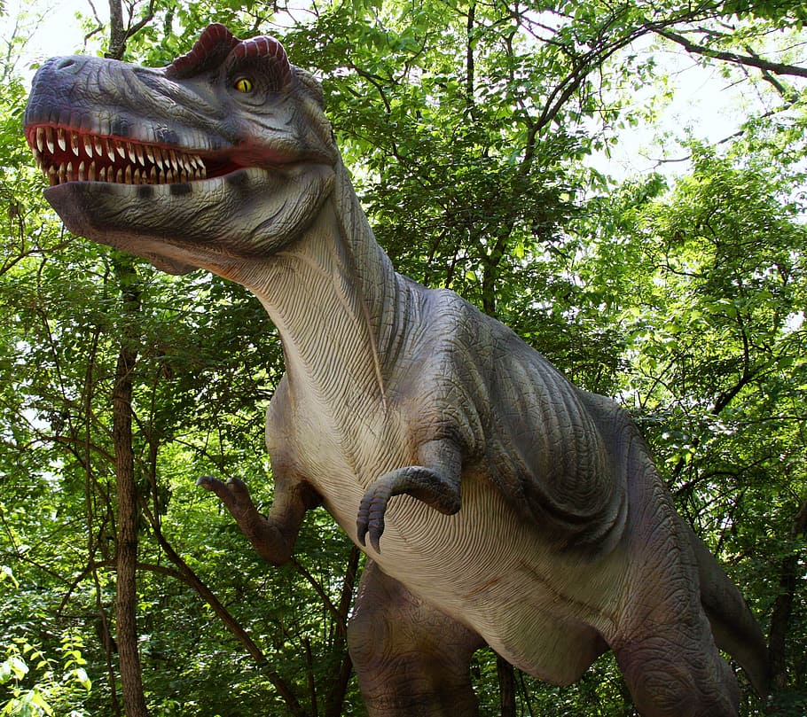 Tiranossauro Rex, Simulação, Dinossauro, um animal, árvore, animais selvagens, temas animais, animal, plantar, vertebrado