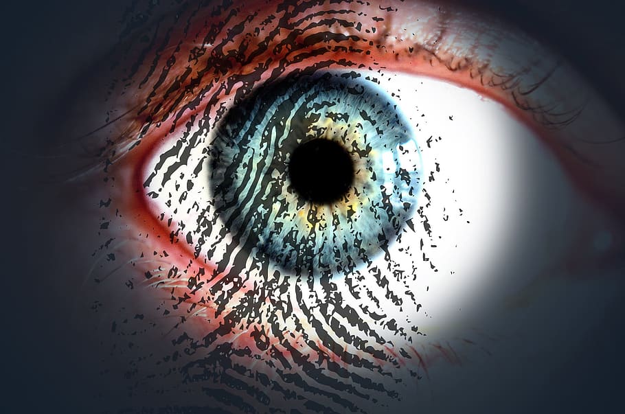 closeup, fingerprint, eye iris, eye pupil, eye cornea, close up, view, human, right, eye