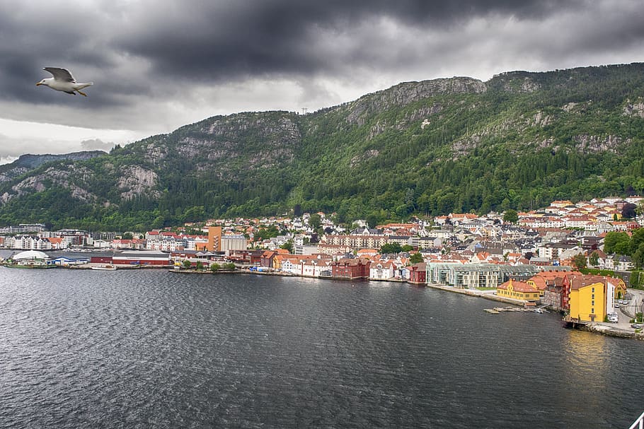 paisaje, bergen, pájaros, noruega, agua, arquitectura, montaña, nube - cielo, estructura construida, ciudad