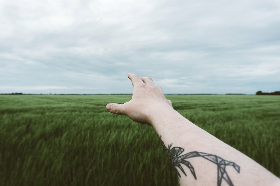 person, flower tattoo, green, grass, farm, field, crops, agriculture, outdoor, clouds