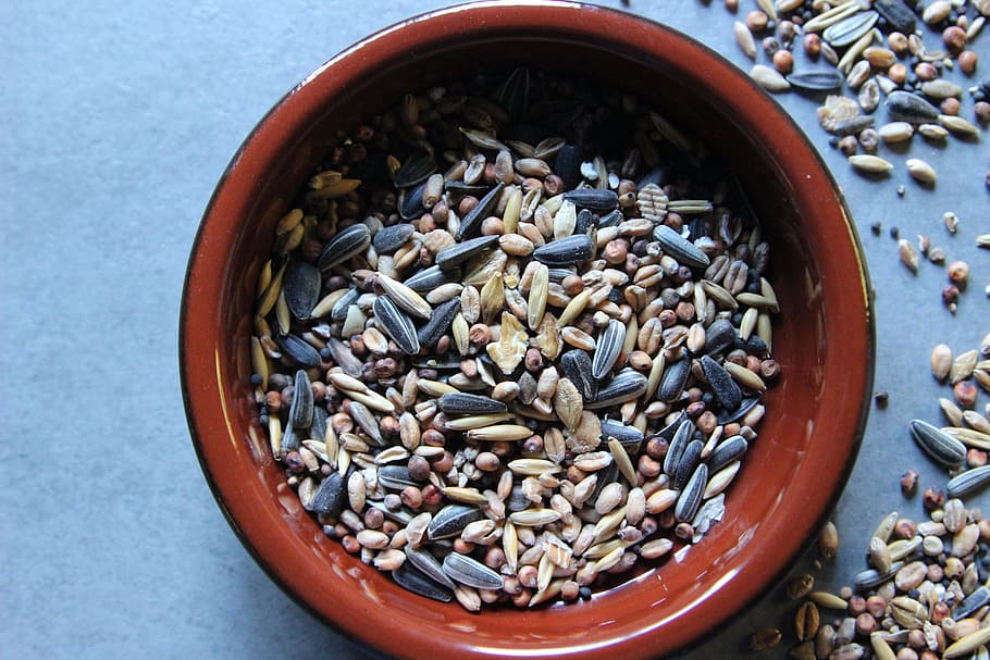 Bird Seed, Grains, Sunflower Seeds, millet, wheat, feed, winter feed, birds, bowl, large group of objects