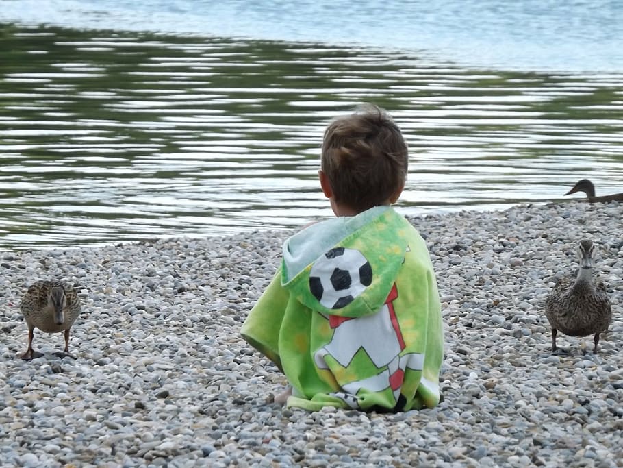 child, duck, lake, pebble, rear view, boys, nature, water, outdoors, animal