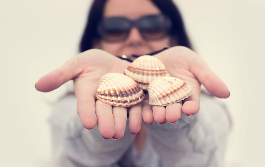 selective, focus photo, woman, holding, three, seashells, grey, top, shells, hand
