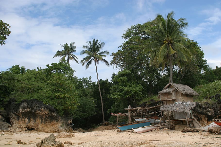 Robinson Crusoe, Filipinas, playa de arena, palmeras, solitario, pintoresco, relajarse, árbol, planta, cielo