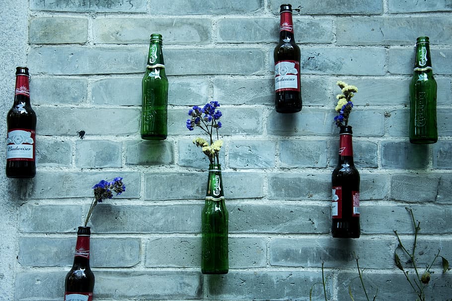 Canton, Xiao, Zhou, Beer, Wall, Bottle, xiao zhou, vase, decoration, flower