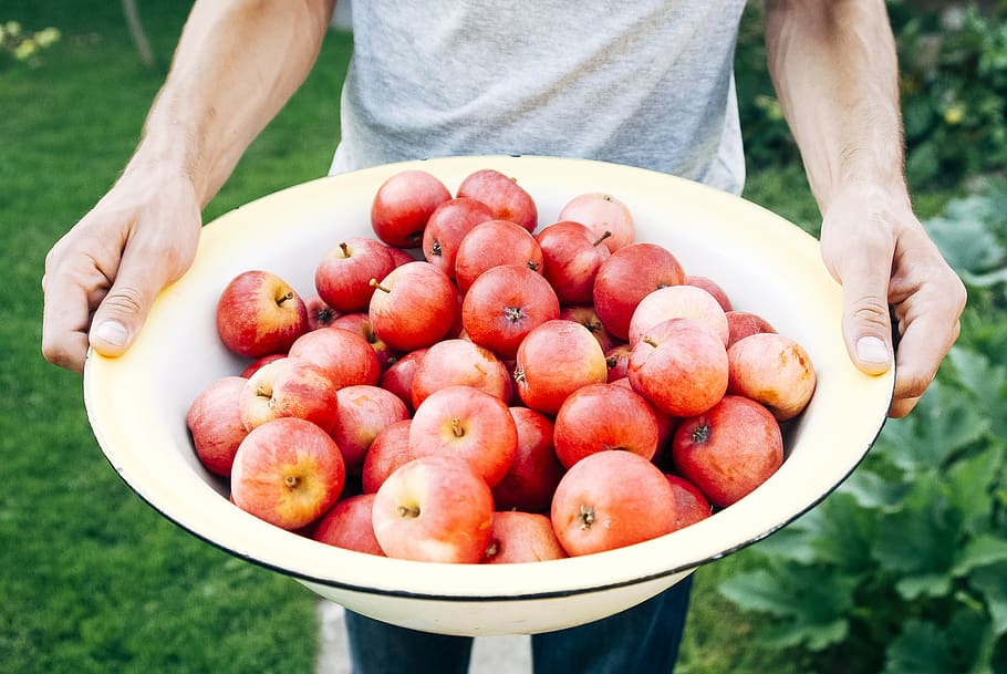 tazón, manzanas, frutas, saludable, comida, chico, una persona, alimentación saludable, bienestar, comida y bebida