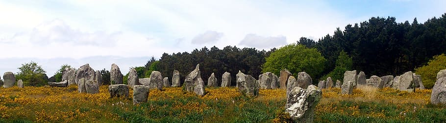 stones on grassland, carnac stones, brittany, megalith, megalithic, ancient, bretagne, carnac, france, europe