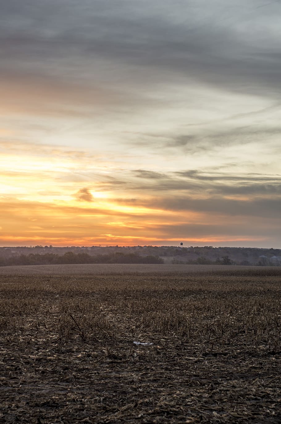 ネブラスカ州 日の出 風景 夜明け 朝 フィールド 空 光 自然 農場 Pxfuel