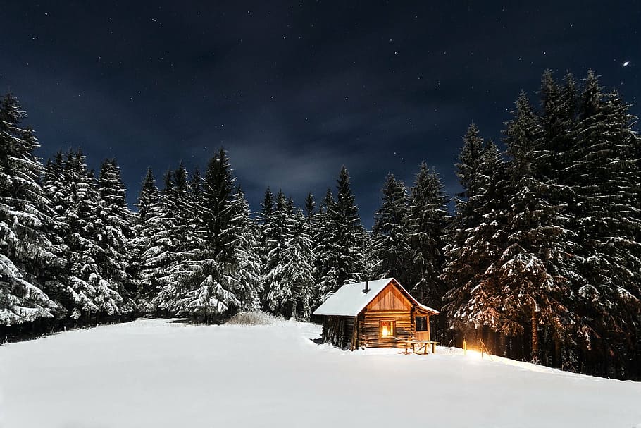 blanco, de madera, cobertizo, casa, cabaña, pinos, noche estrellada, cabaña de madera, paisaje, al aire libre