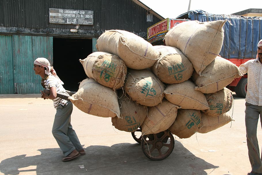 man, carrying, stack, sack, wagon, hard labour, sacks, transportation, india, sack barrow
