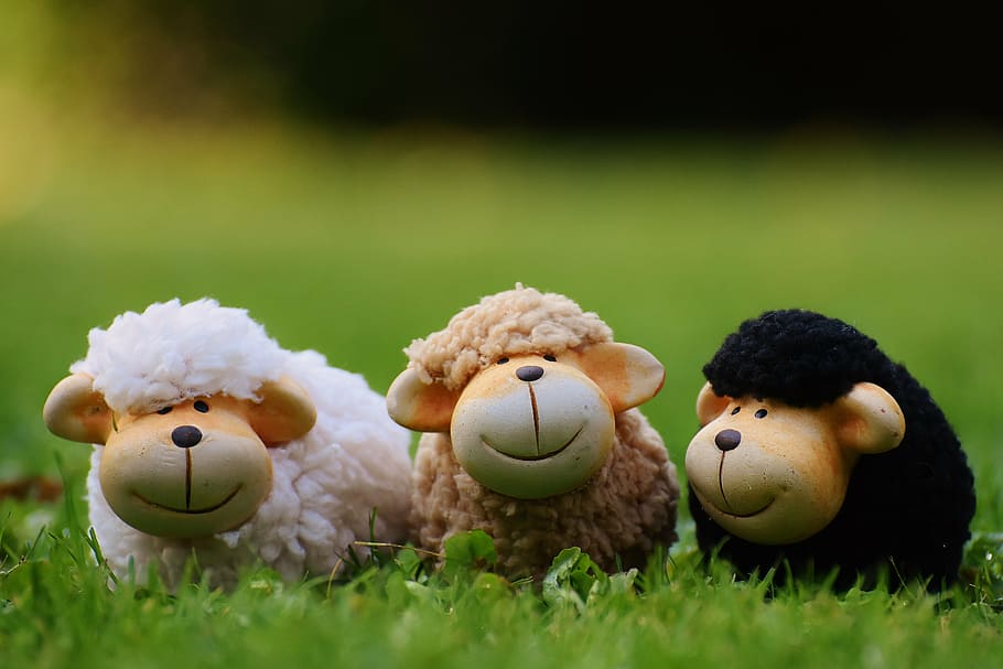 白, 茶色, 黒, 羊, ぬいぐるみ, おもちゃ, 緑, 草, 牧草地, 動物