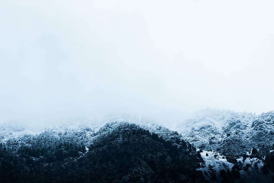 montaña, árboles, cubierto, nieve, durante el día, foto, verde, hoja, invierno, frío