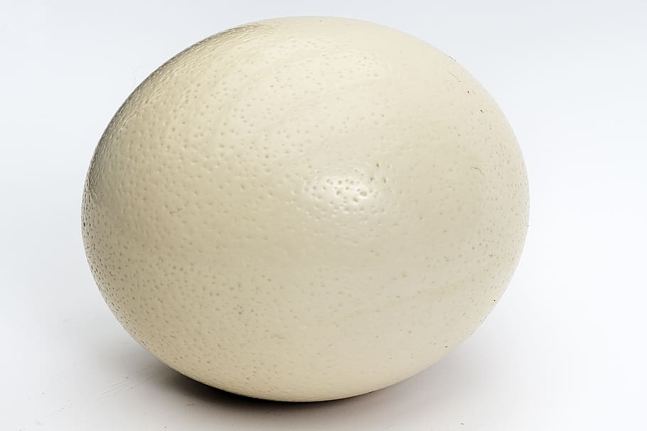 telur burung unta, telur, telur besar, buket, oval, warna krem, objek tunggal, latar belakang putih, foto studio, dipotong