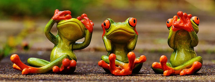 three, green, frog, sitting, street illustration, frogs, not see, not hear, do not speak, funny