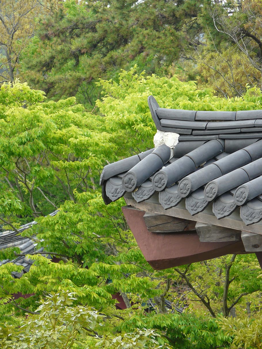 traditional, roof tile, landscape, construction, republic of korea, korea, hanok, korean, houses, roof