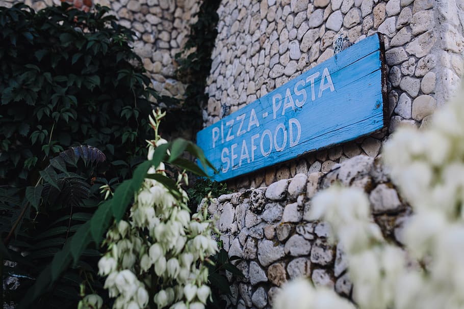 food, meal, dish, Seafood, Restaurant, Nessebur, Bulgaria, communication, text, sign