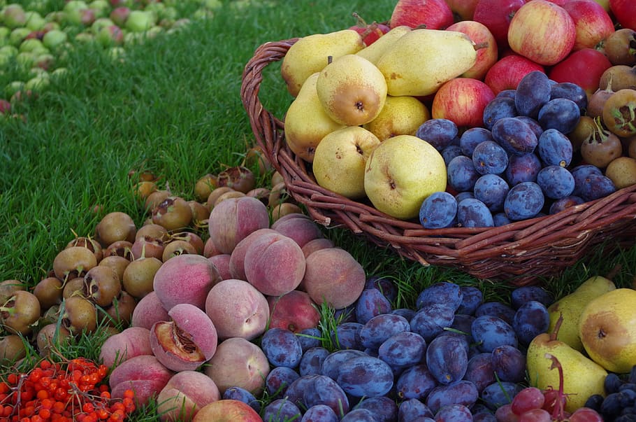 frutas, fruta, cesta de frutas, comida, nutrição, frutado, vegetariano, vitaminas, comer, maduro