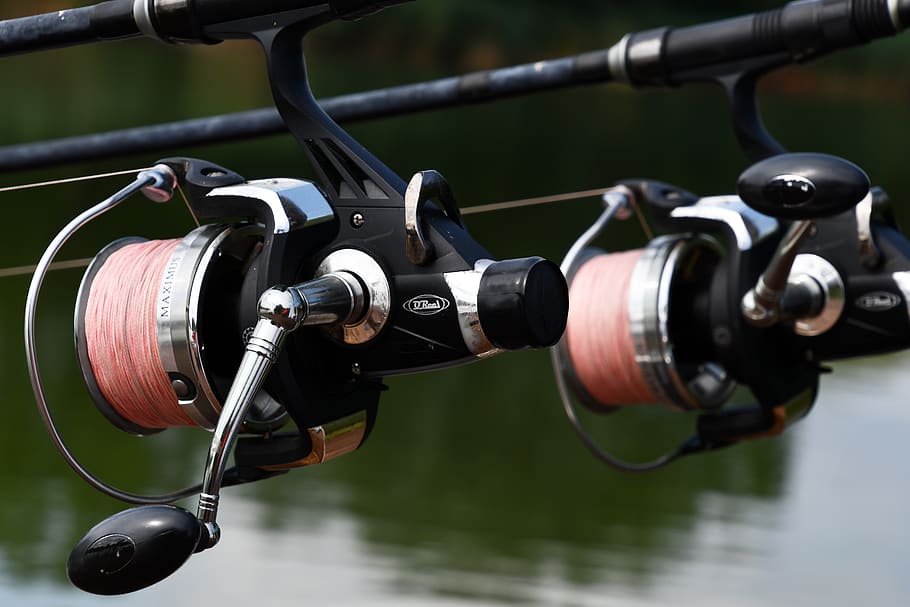 people, fishing, holiday, fishing rods, spindle, pink, fishing line, tool, sports, lake