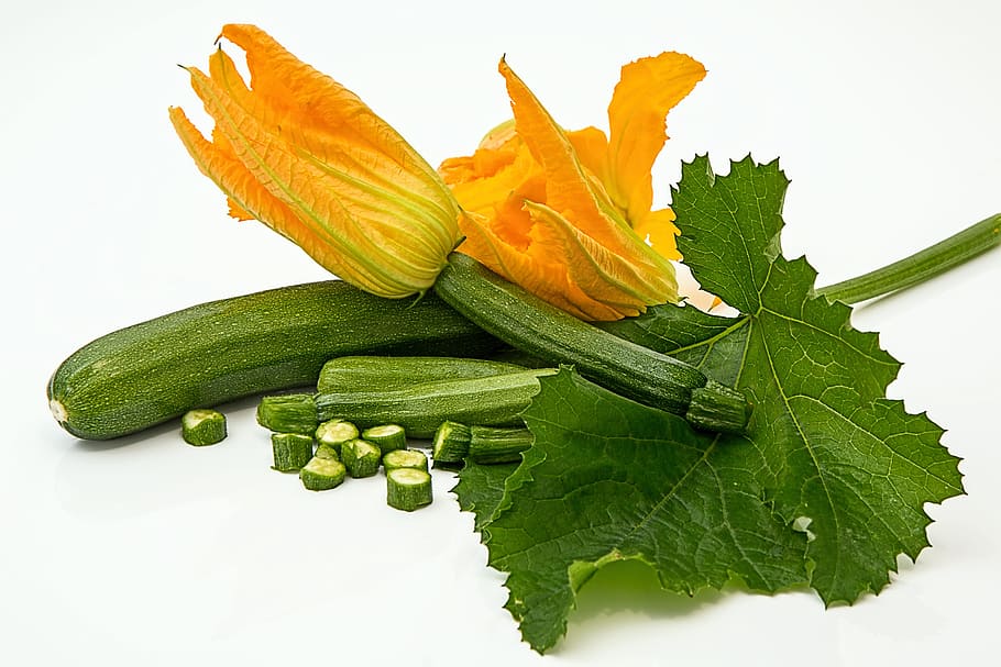amarillo, flor, verde, vegetal, calabacín, calabaza, tuétano, verdura de jardín, vegetariano, crudo