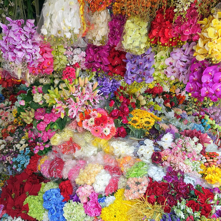 bunga-bunga, latar belakang, warna-warni, kertas dinding, bunga, latar belakang bunga, bunga matahari, gerbera daisy, aster, gerbera