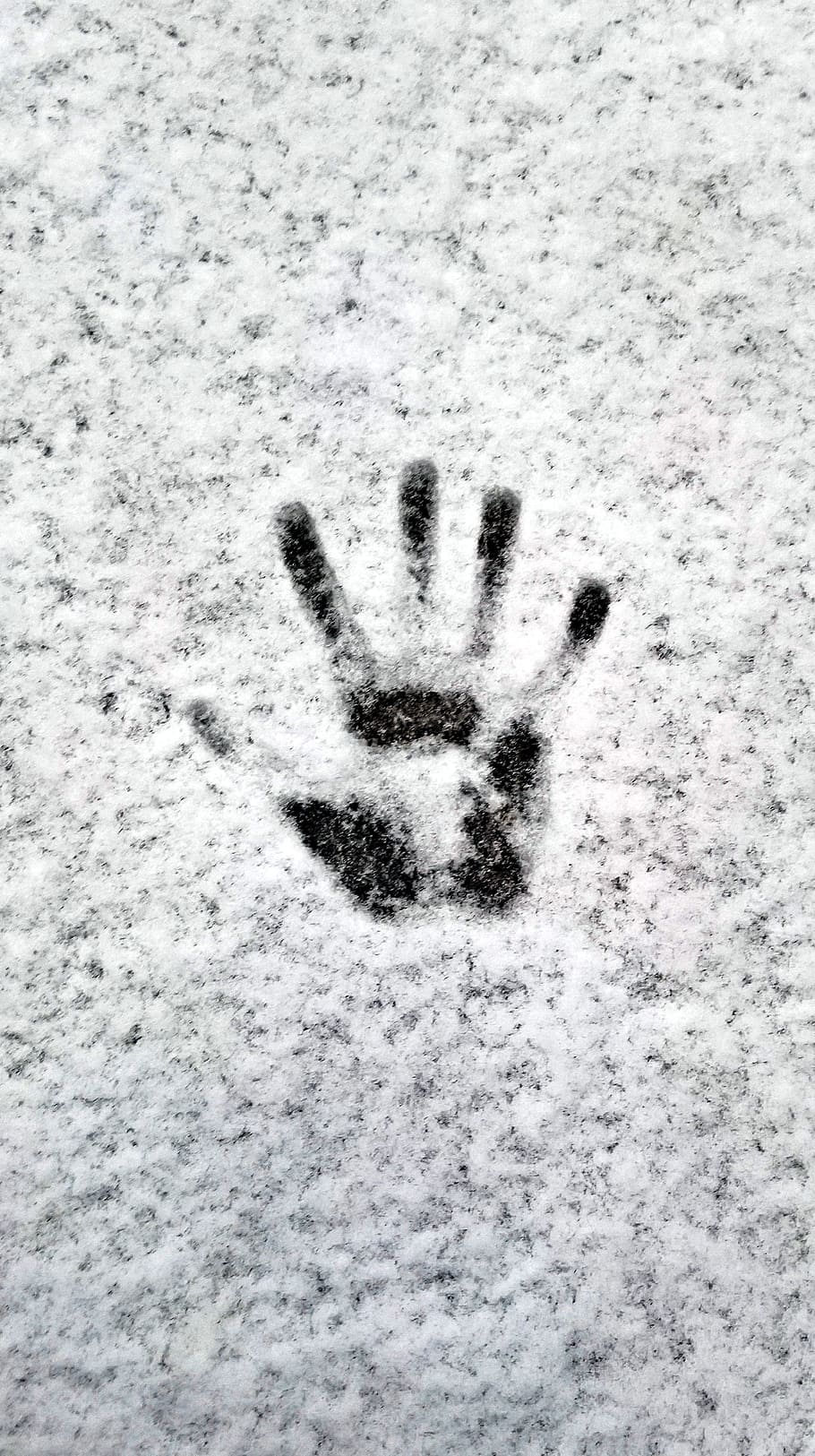 Winter, Snow, Handprint, Tracks, snow tracks, new zealand, cold, smooth, close, cold temperature