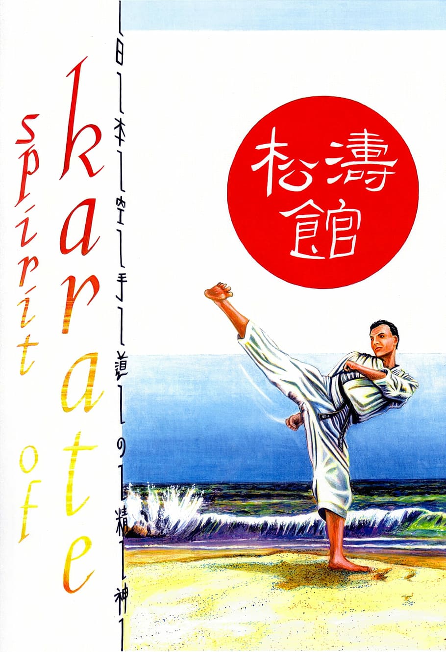karate figher, alto, patada, karate, patada alta, obras de arte, luchador, artes marciales, póster, dominio público