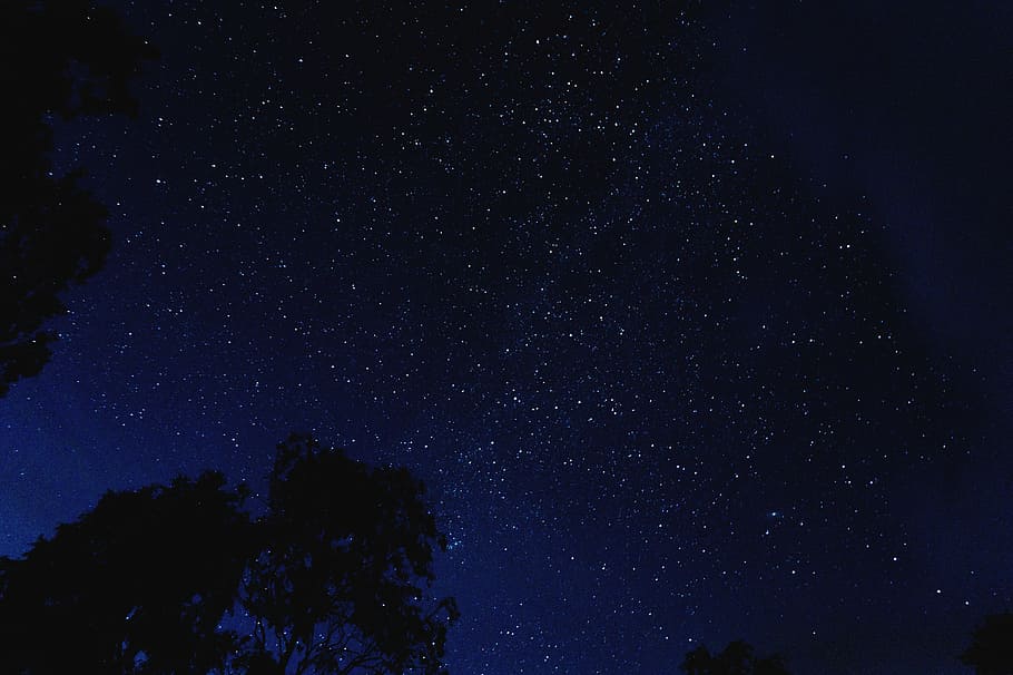 星, 空, 夜間, 美しい, 暗い, 夕方, のどかな, ローアングルの写真, 夜, 風光明媚な