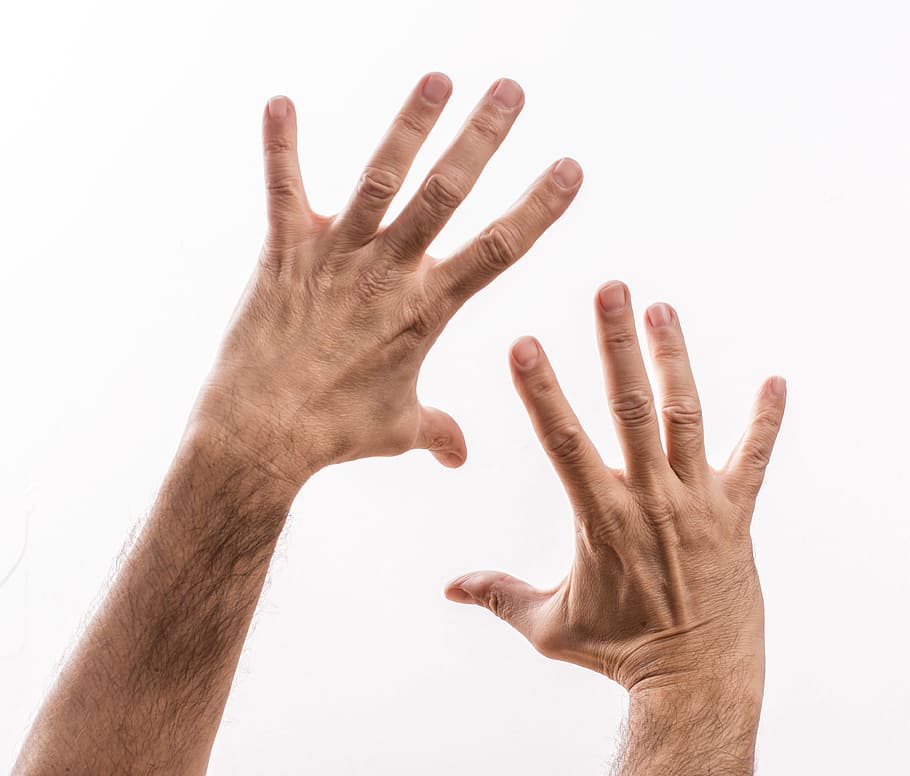 사람, 열린, 손, 남성, 흰색 배경, stravovanie, 감정, 안녕, 인간의 손, 인간의 신체 부분