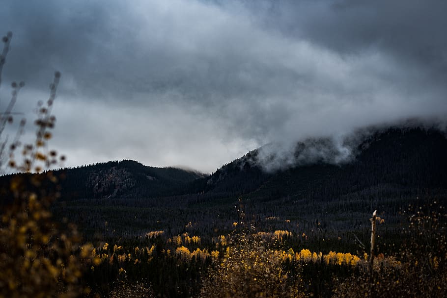 trees, plants, nature, autumn, fall, mountain, landscape, valley, dark, clouds