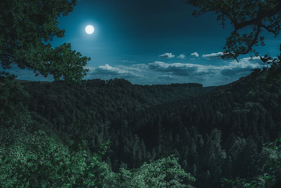 aerial, photography, forest, nighttime, nature, travel, panorama, waters, landscape, sky