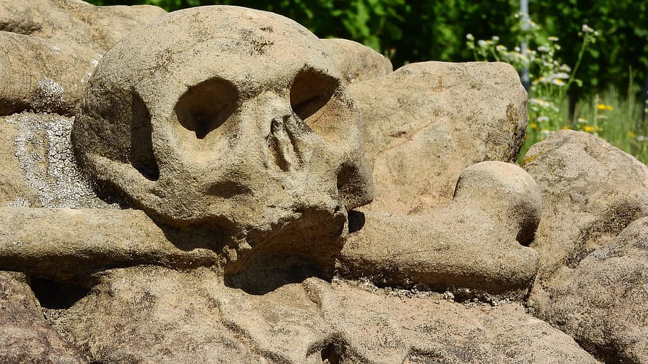 Crânio, pedra, estátua, esculpida, cemitério, crânio humano, sepultura, arqueologia, história, crânio animal
