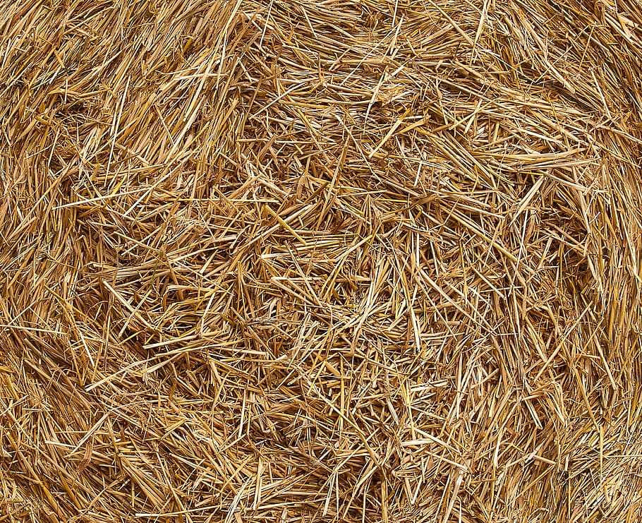 straw, agriculture, background, hay, harvested, rural, full frame, backgrounds, plant, day