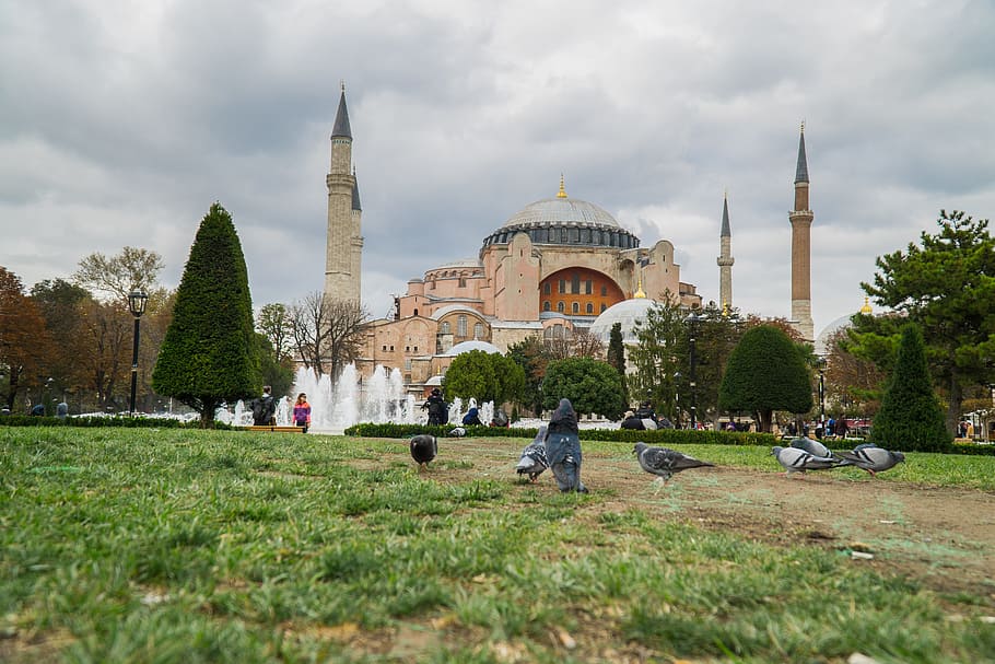Hagia Sophia, Estambul, Turquía, ciudad, cami, arquitectura, mezquita azul, hierba, estructura construida, historia