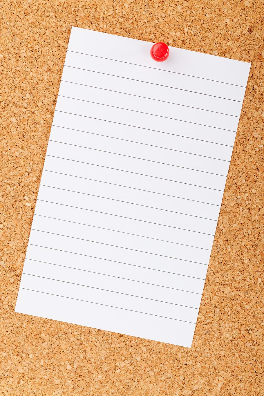 black, lined, paper, pinned, cork board, white, writing paper, blank, board, business