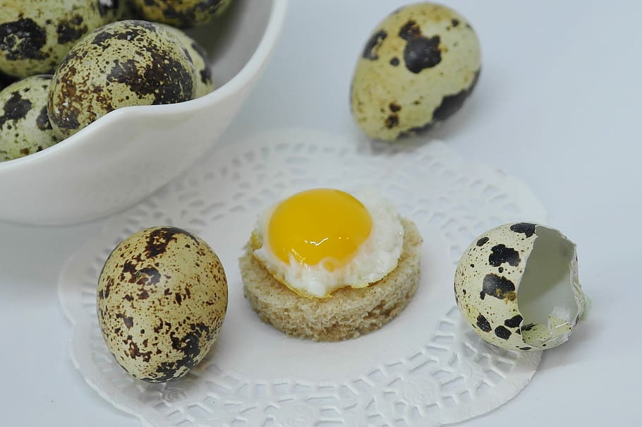 foto, telur puyuh, meja, telur, kulit, goreng, dimasak, makan, makanan, protein
