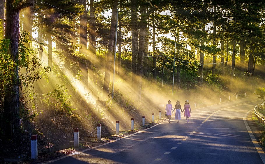 camino abierto soleado