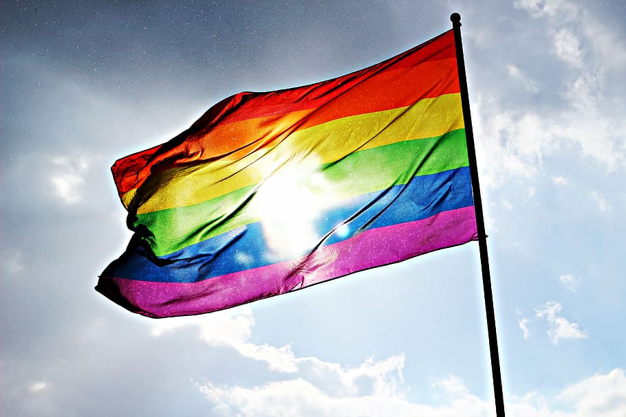 seletivo, fotografia de foco, bandeira lgbt, bandeira, arco íris, sol, céu, orgulho, homossexualidade, desfile