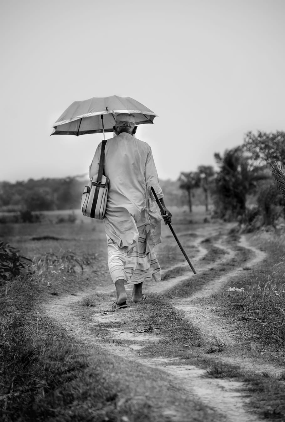 velho, avô, caminhada, guarda chuva, estrada, rua, uma pessoa, comprimento total, vista traseira, proteção