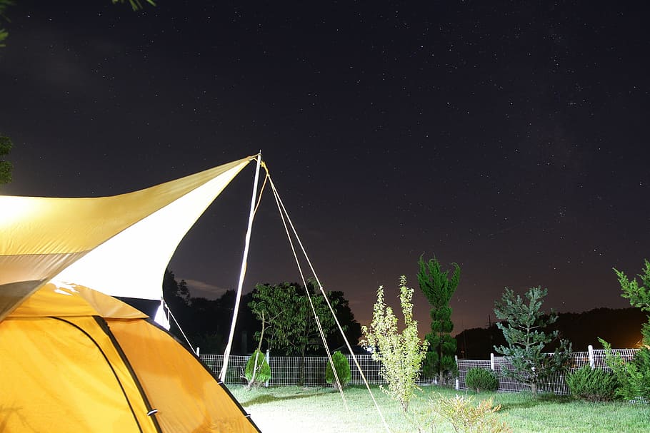 camping, night, star, tent, outdoors, nature, forest, sky, transportation, tree